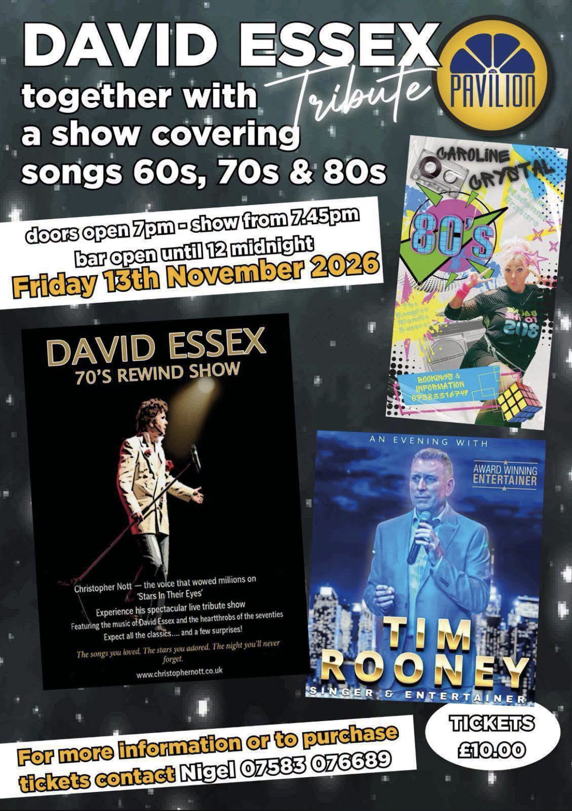 DAVID ESSEX Tribute